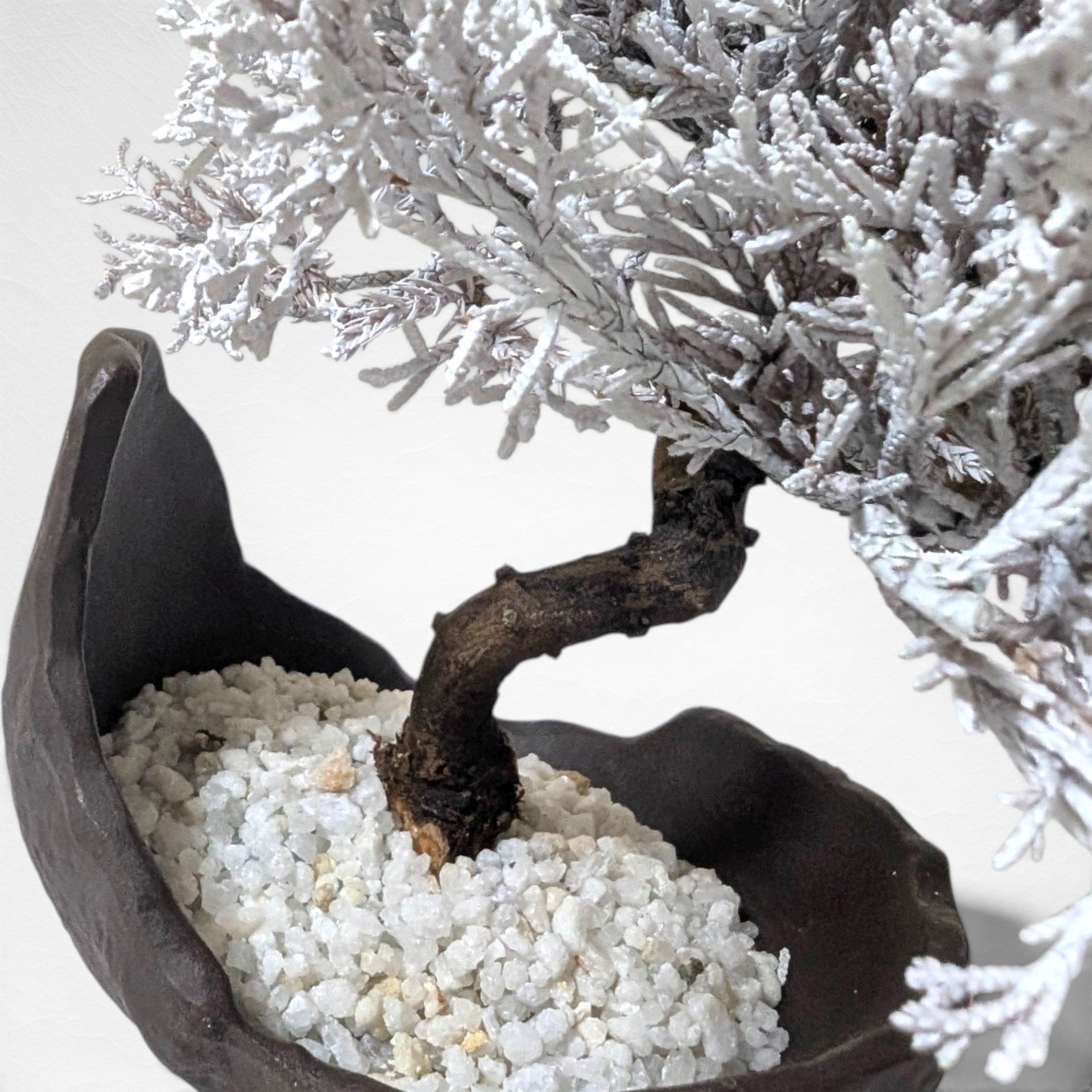 【TOKIWA BONSAI】 プリザーブド盆栽 真柏 T260611